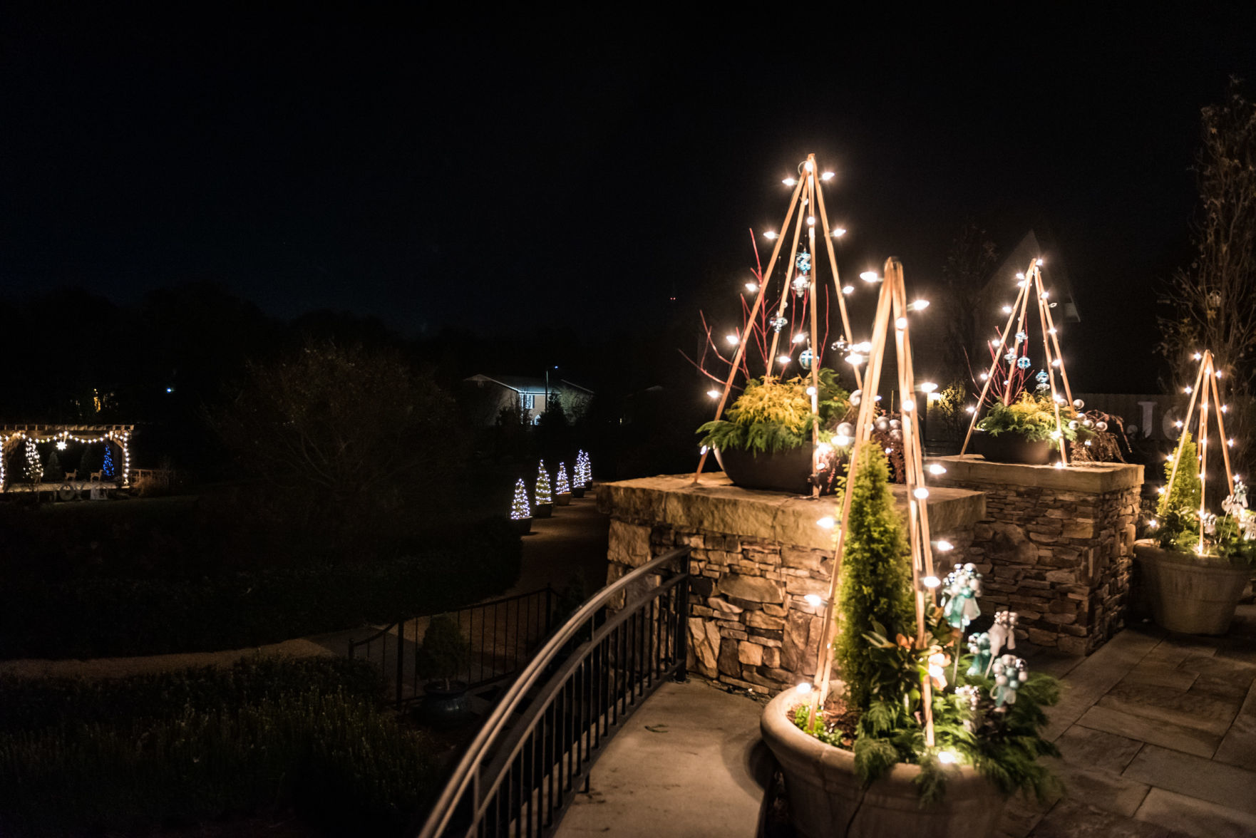 Ciener Garden Tulip Holiday Blooms Light Display